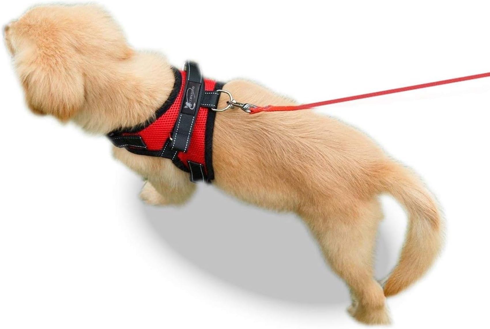 No Pull Reflective Adjustable Dog Harness with Handle - Comfortable Soft All-Weather Mesh Vest for Small, Medium & Large Dogs - Easy On Puppy Harness for Walking, Running & Training (Red, XX-Small)