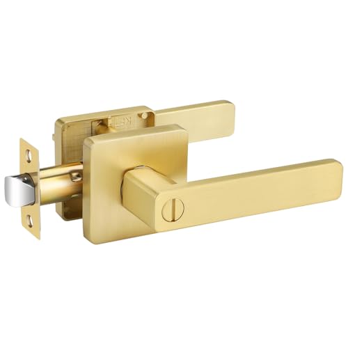 Privacy Door Handle