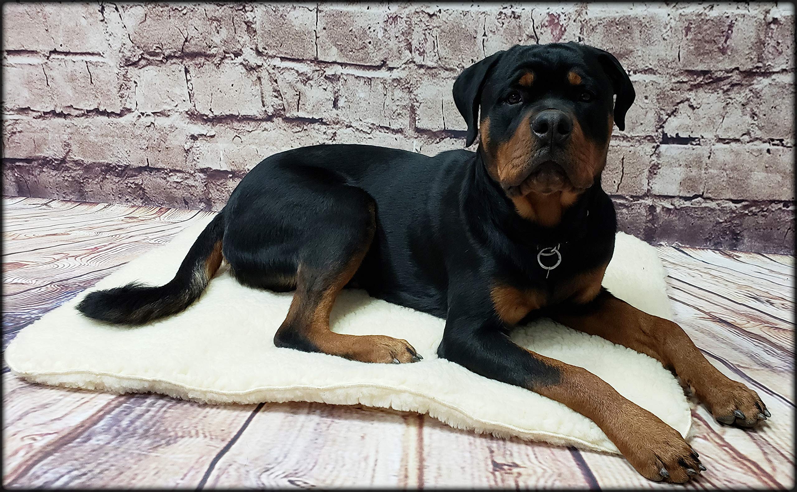 ActiveDogs Orthopedic Dog Bed - Small 18