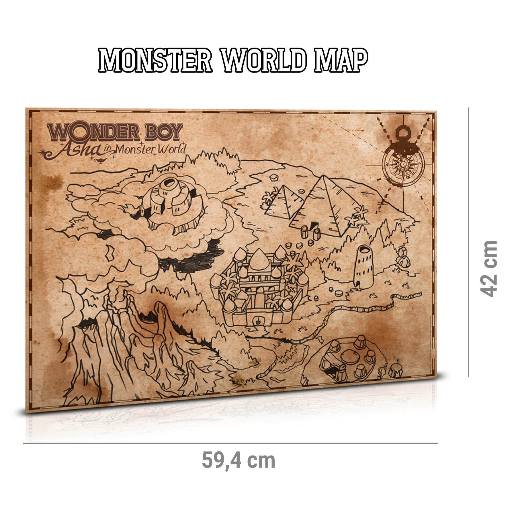 Wonder Boy: Asha in Monster World Collector's Edition for Nintendo Switch - Limited Edition | Retro Platformer Adventure Game for Family & Solo Gaming