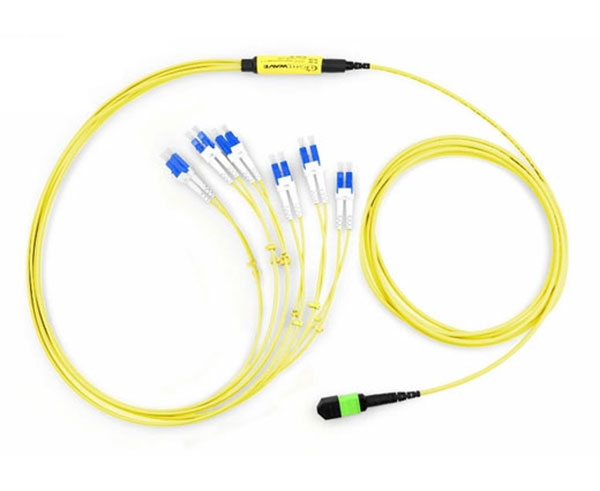 Premium MTP Fiber Optic Cable - High-Speed 12/24 Strand OM3/OM4 Multi-Mode Duplex LC Connector for Data Centers, Server Rooms & Network Installations - Perfect for High-Density Fiber Optic Networking & Cloud Computing Applications