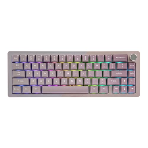 Pink Purple