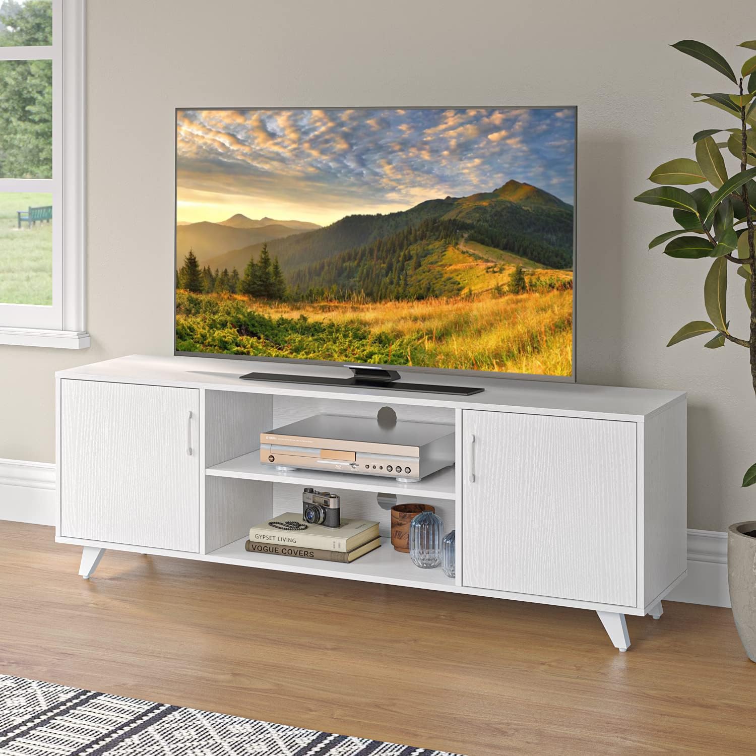 Modern TV Stand with 2 Doors & Shelves - Panana 63