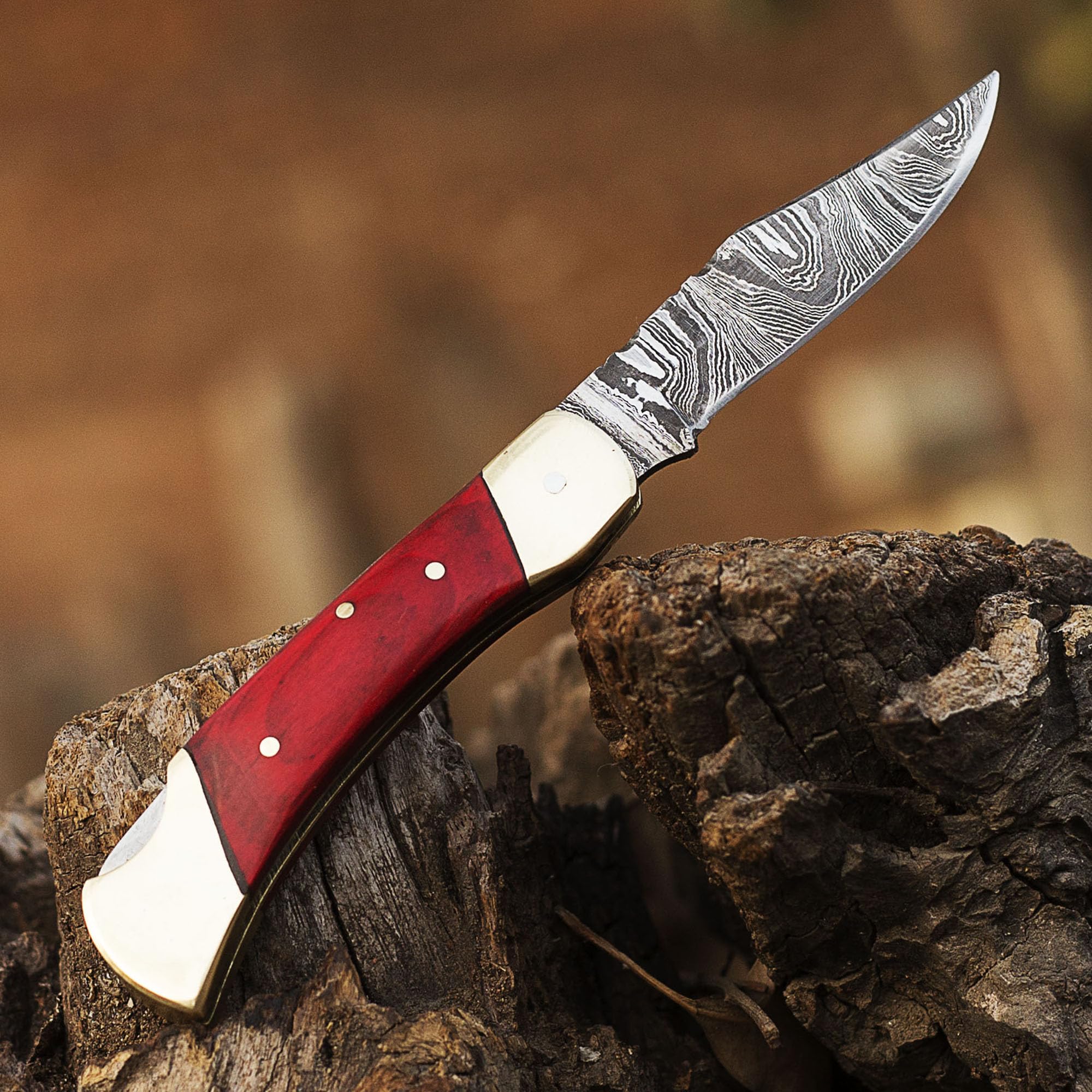 Hand Forged Damascus Steel Pocket Knife - Custom Made Folding Knife with Back Lock (AA-15255 to AA-15260) | EDC, Camping, Hunting & Outdoor Survival Tool