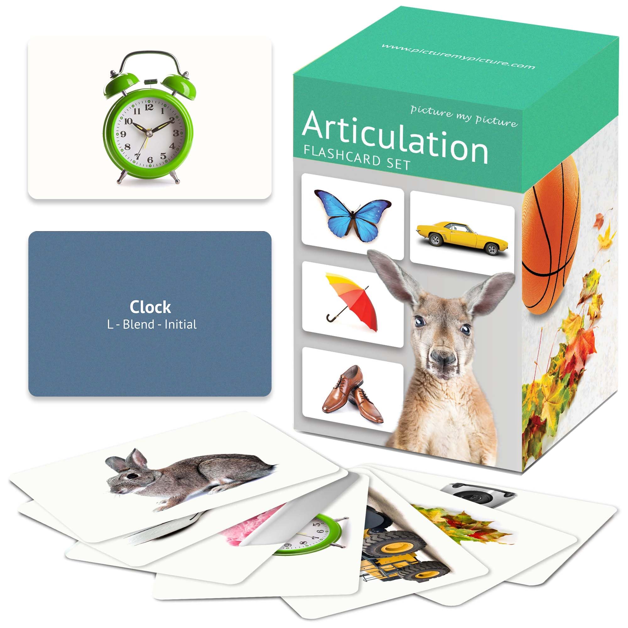Articulated Flash Cards | Speech Therapy Materials | Autism Learning Tools | ESL Teaching Resources for Kids - Perfect for Classroom, Homeschool & Special Education