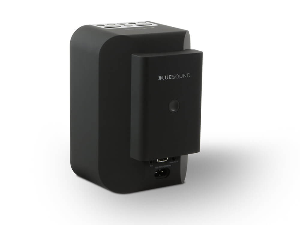 Bluesound BP100 High-Fidelity Wireless Speaker - Premium Sound Quality for Home, Office & Outdoor Use | Perfect for Music Lovers & Audiophiles
