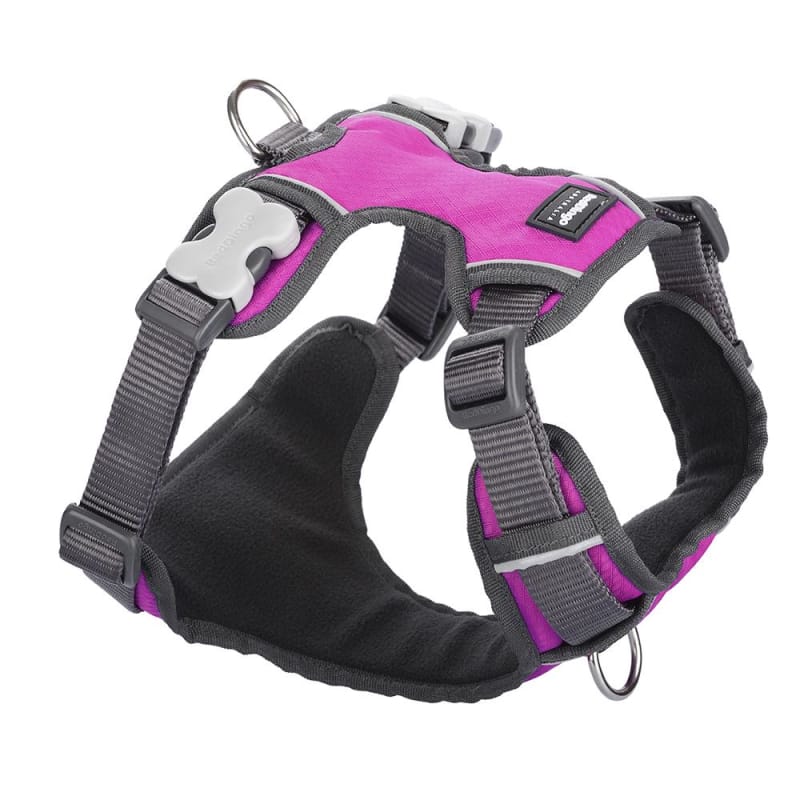 Red Dingo Padded Hot Pink Dog Harness - Adjustable & Reflective, 5 Sizes (XS-XL) for Small to Large Dogs | Perfect for Walking, Running & Outdoor Adventures