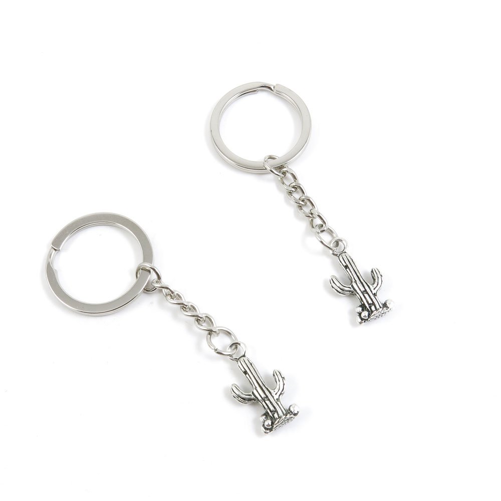 Antique Silver Tone Keychain Door Car Key Chain Tags - Bulk Wholesale Keyring Ring Chain Supplies (5CM Cactus Cacti Design) - Perfect for Home, Office, Car Keys & Gift Giving