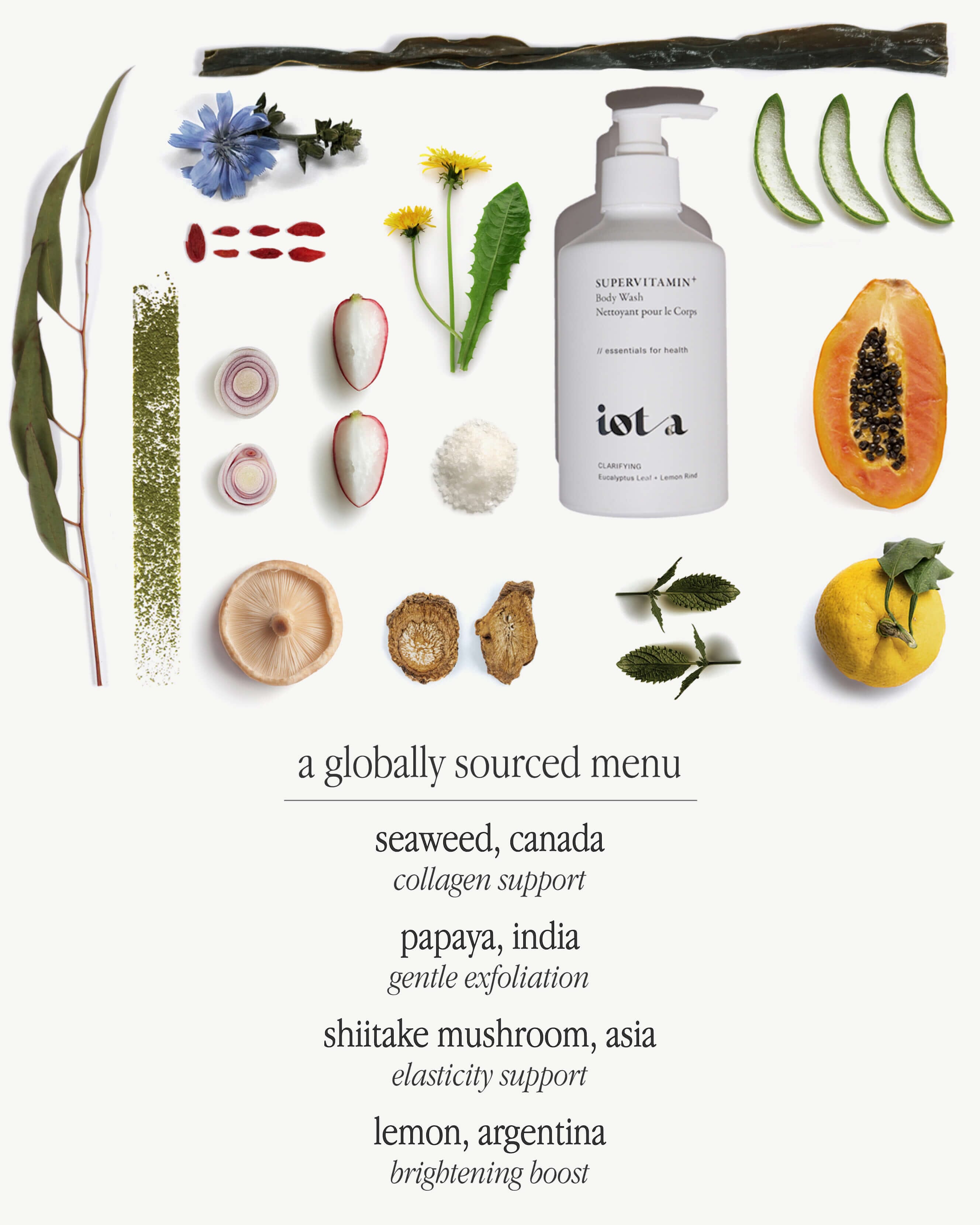 Supervitamin Body Wash + Clarifying - Hydrating & Detoxifying Shower Gel for Glowing Skin | Perfect for Daily Use & Post-Workout Refreshment