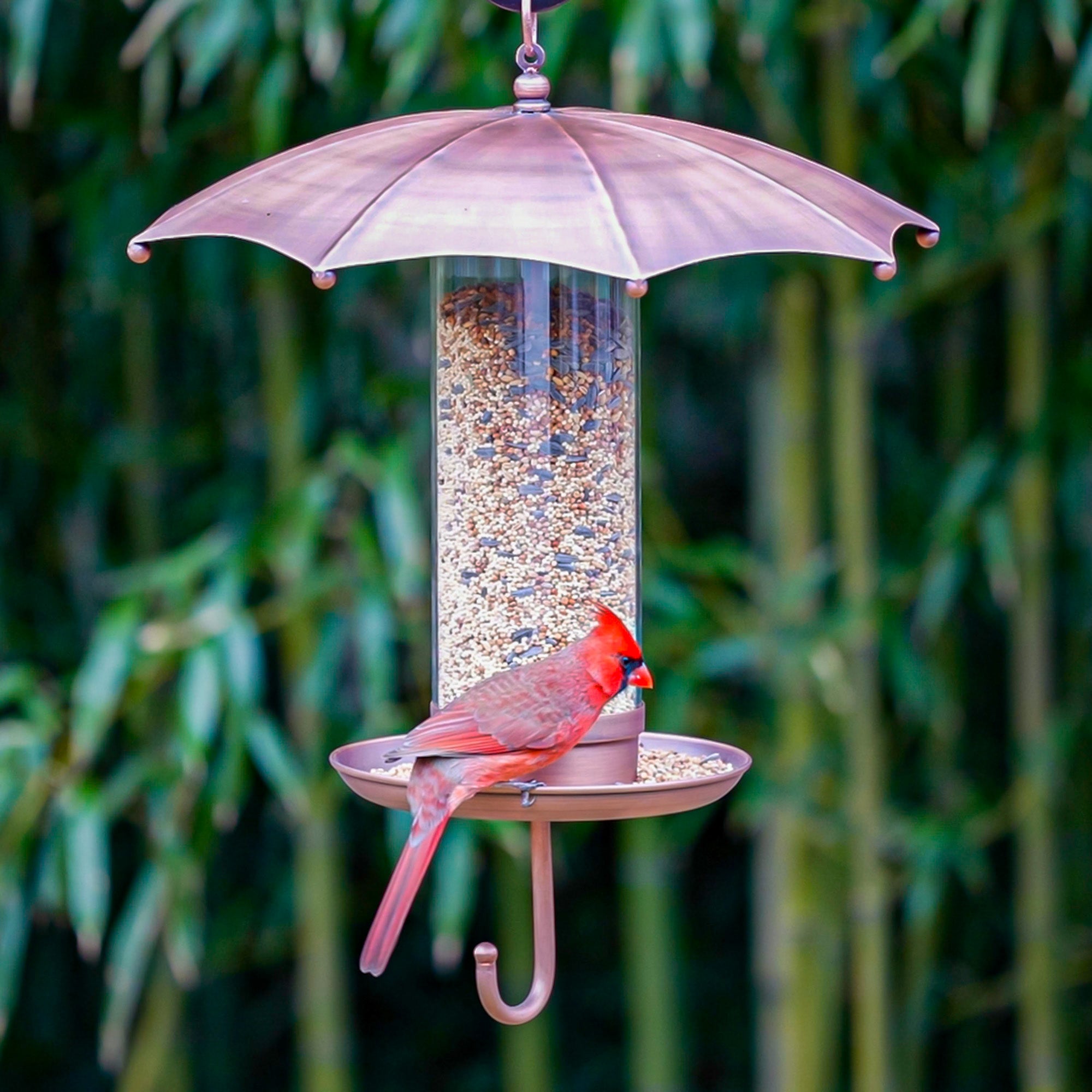 Waterproof Bird Feeder for Rainy Days - Hanging Outdoor Garden Decor to Attract Wild Birds - Perfect for Backyard, Patio & Balcony Bird Watching