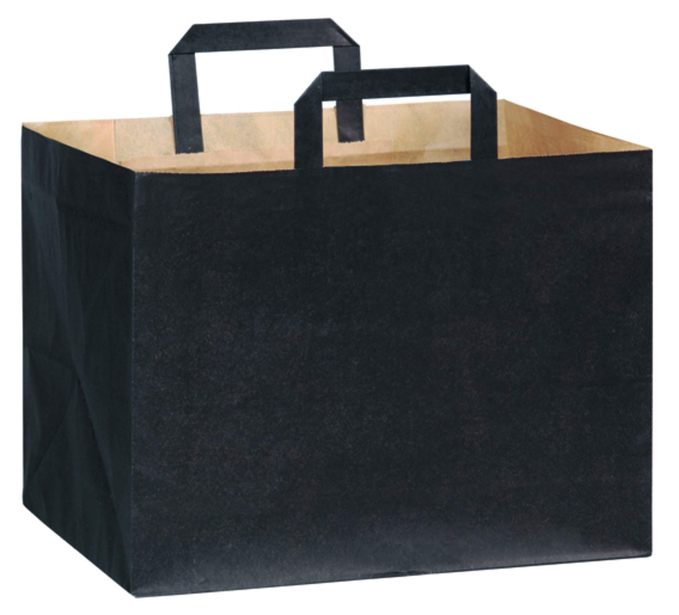 PacknWood 210CABTRN Extra Large Black Gift Bags - 12.6x8.66x9.45 Inches - Heavy Duty Craft Bags for Graduation, Birthday, Wedding & Party Favors - Bulk Pack of 250