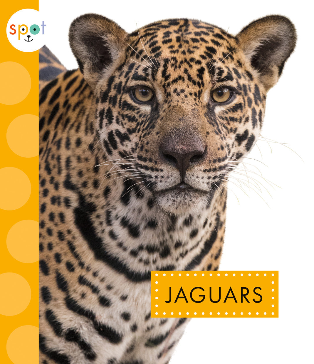 Jaguar Animal Gifts & Merchandise - Unique Wildlife Decor for Home, Office & Gifts