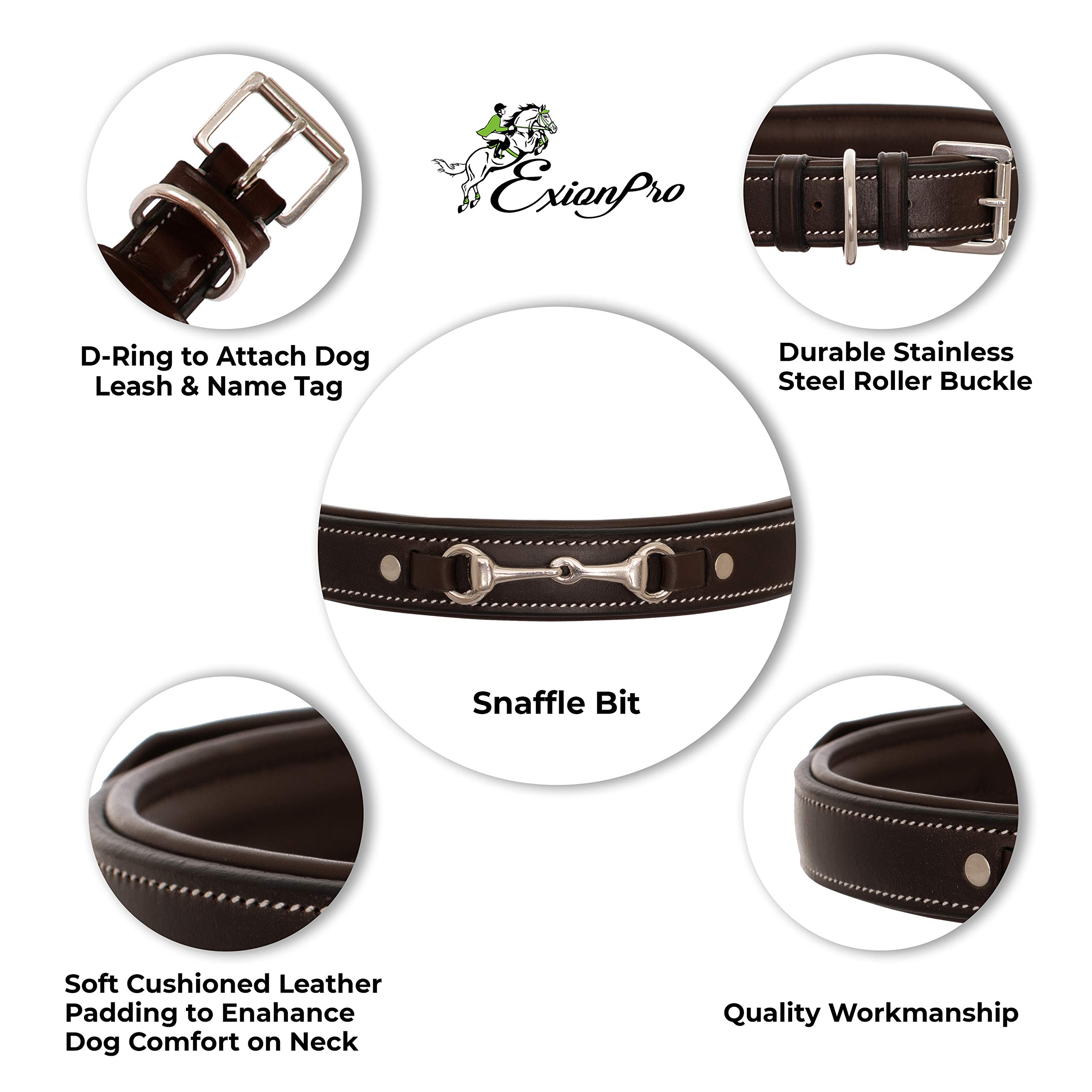 Exion Genuine Leather Dog Collar with Silver Snaffle - Soft Padded & Adjustable for Small, Medium, Large & X-Large Dogs - Perfect for Walking, Running & Outdoor Adventures - Havana Brown with Blue Padding - Durable & Comfortable Pet Accessory for Daily Use