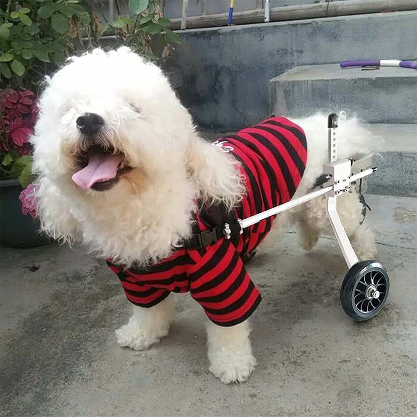 Adjustable Dog Wheelchair for Disabled Pets - 2 Wheel Rear Leg Support Stroller for Rehabilitation Training & Mobility Aid - Perfect for Injured, Elderly, or Paralyzed Dogs - Indoor & Outdoor Use