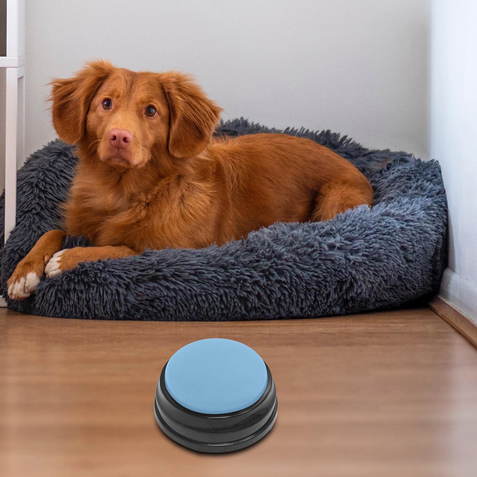 Fityle Dog Training Buttons - Recordable Sound Recorder for Pets & Puppies - Light Blue for Home Training