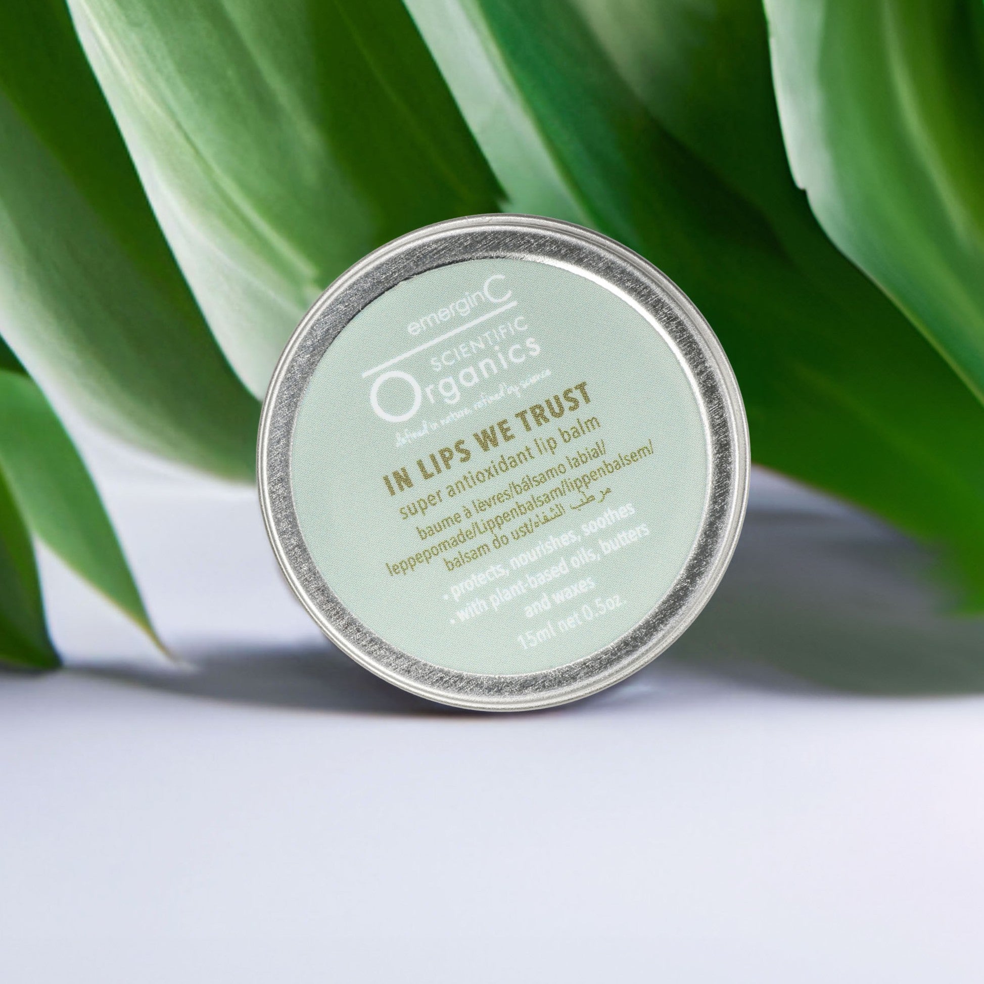 EmerginC Organics In Lips We Trust Lip Balm - Organic Moisturizing Lip Care for Dry & Chapped Lips - Perfect for Daily Hydration, Winter Protection & On-the-Go Use