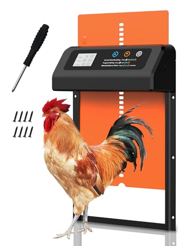 Black-Orange