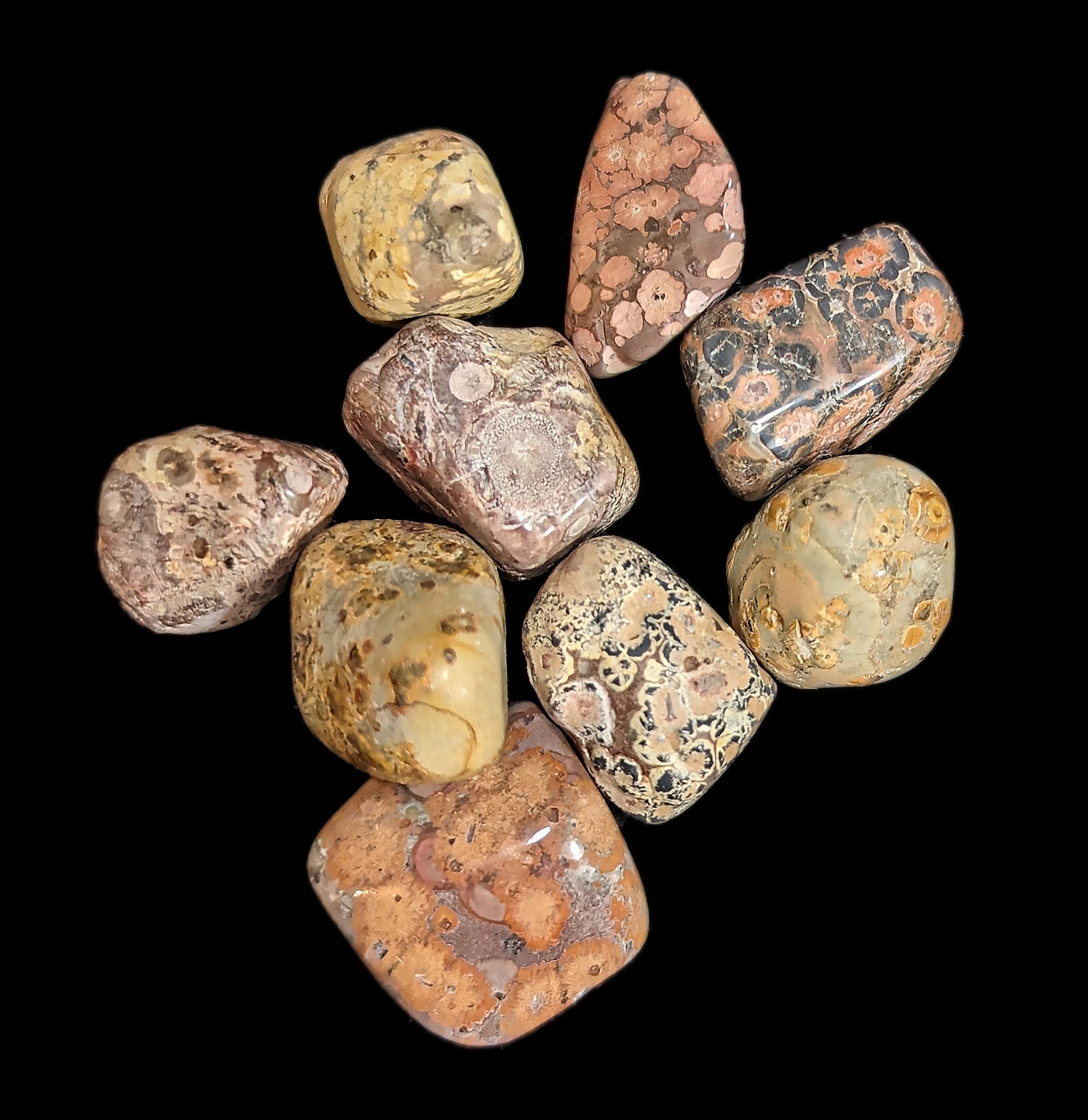 Tumbled Leopard Skin Jasper Stone - Natural Healing Crystal for Meditation, Chakra Balancing & Home Decor | Perfect for Jewelry Making, Spiritual Gifts & Energy Work