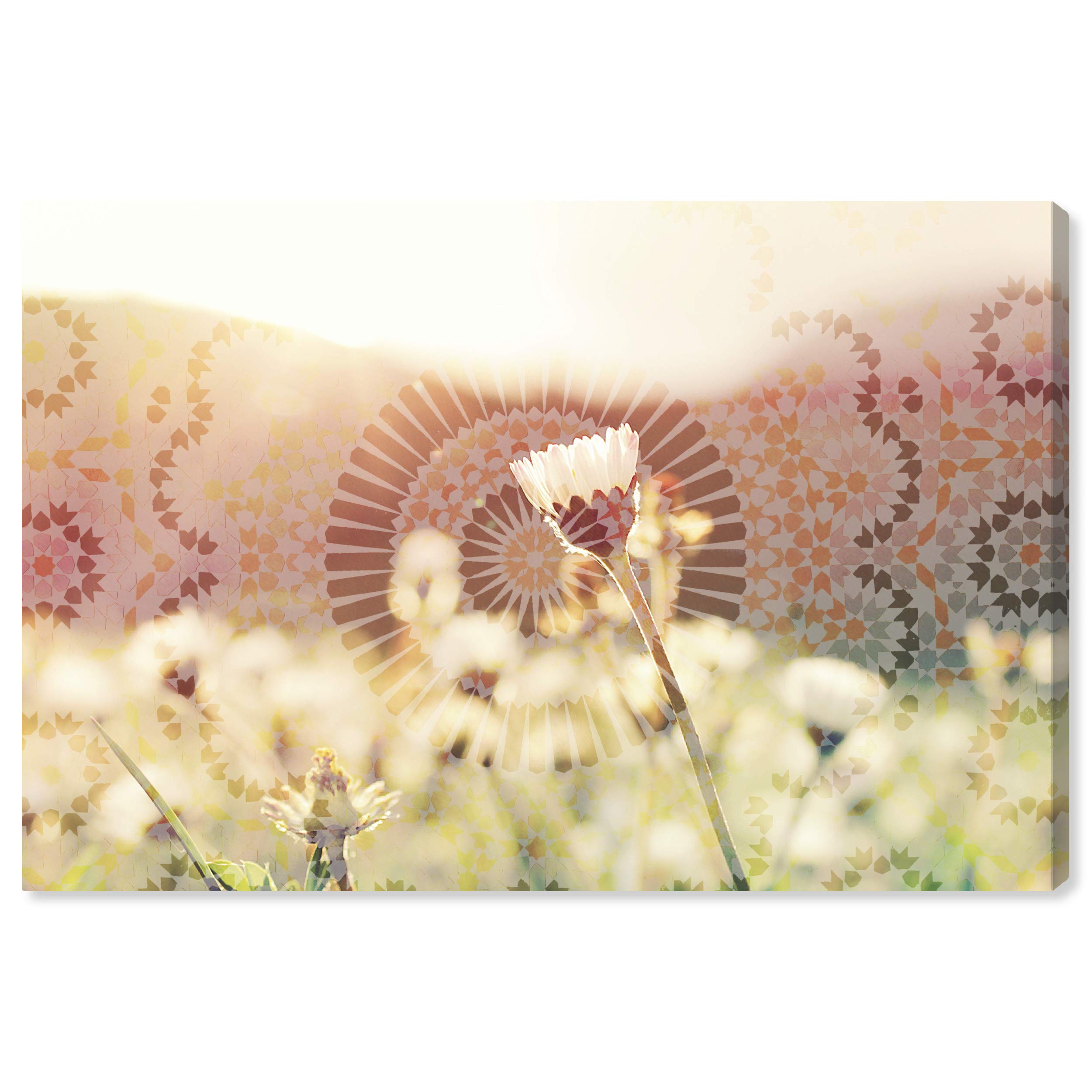 Oliver Gal Artist Co. Abstract Wall Art Canvas Print 'Mandalas in The Morning' - 45