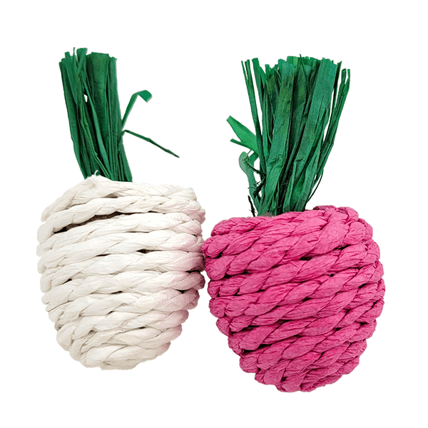 Organic Moss Hollow Radish Veggie Chews for Dogs - 2 Pack, All-Natural Dental Treats for Fresh Breath & Healthy Teeth - Perfect for Training Rewards and Puppy Teething Relief
