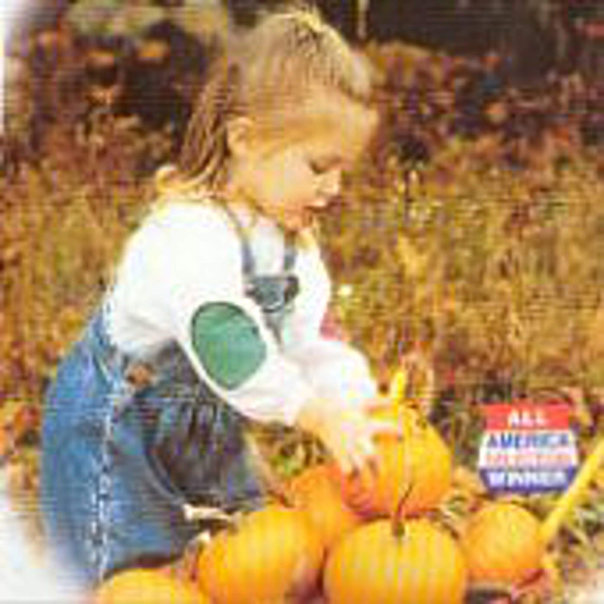Organic Baby Bear Pumpkin Seeds (25+ Seeds) - Non-GMO, Heirloom Variety for Home Gardening - Perfect for Fall Decorations, Pumpkin Patches & Baking