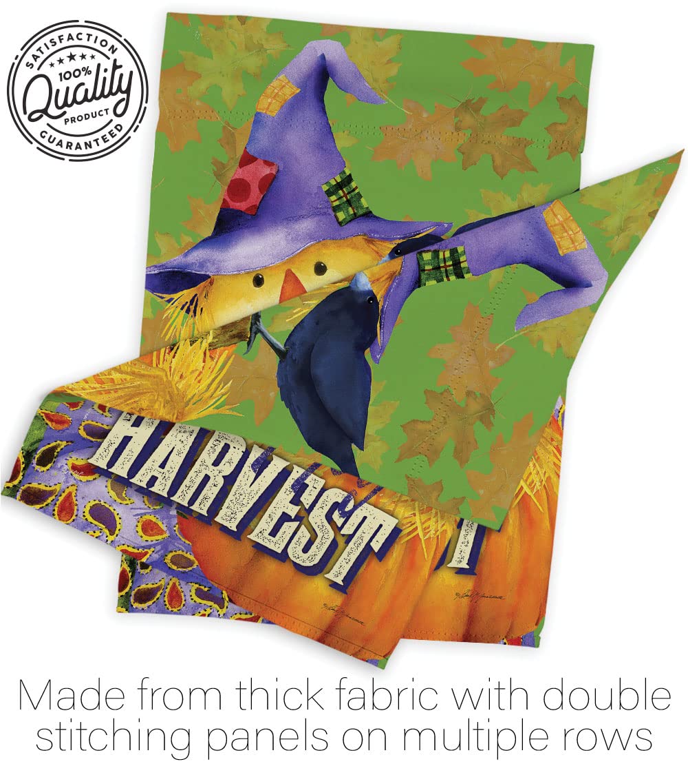 Happy Harvest Scarecrow Flag Set - 28