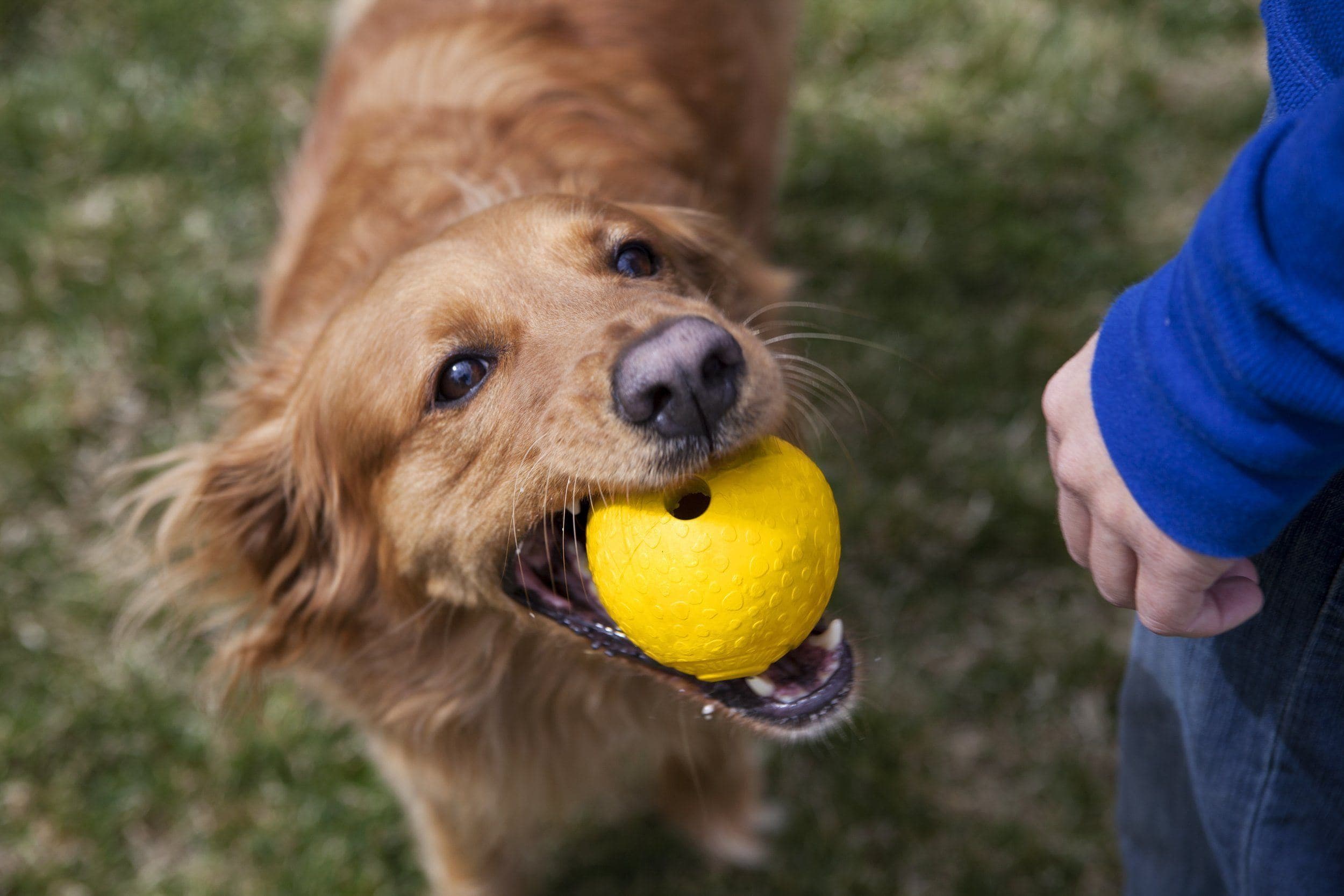 **Ruffwear® Huckama® Dog Toy Ball for Fetch - Durable Red Chew-Resistant Ball for Active Dogs - Perfect for Outdoor Play, Training & Beach Fun**