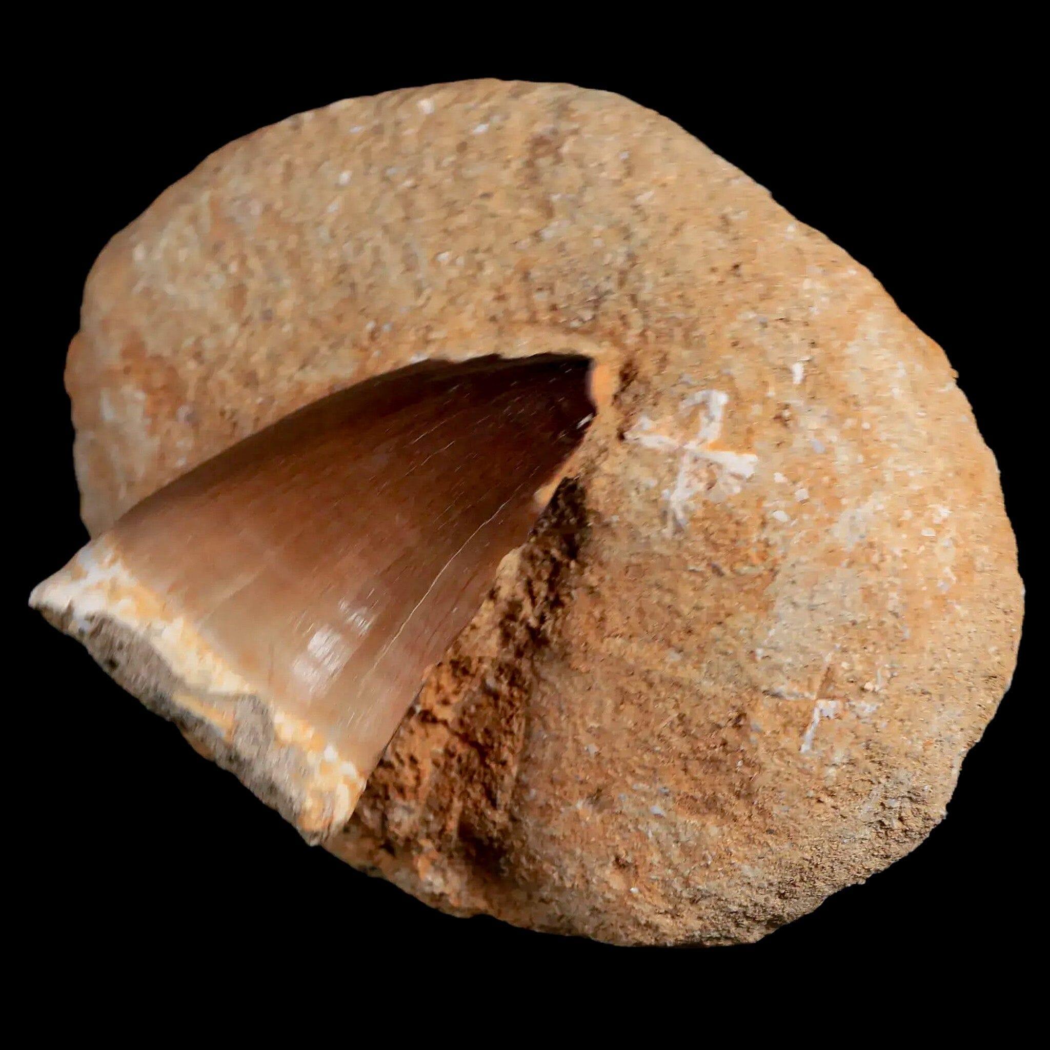 1.9