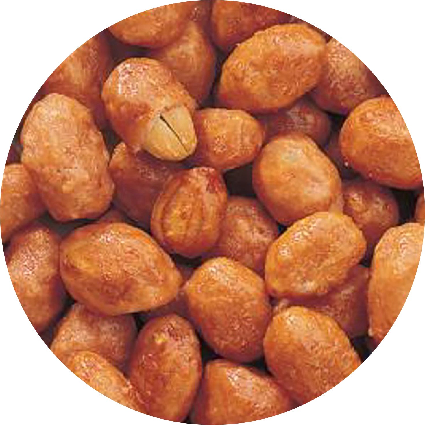 Adams & Brooks Butter Toffee Peanuts - 20lb Bulk Case (20 Pounds) | Sweet & Crunchy Snack for Parties, Movie Nights & Office Treats