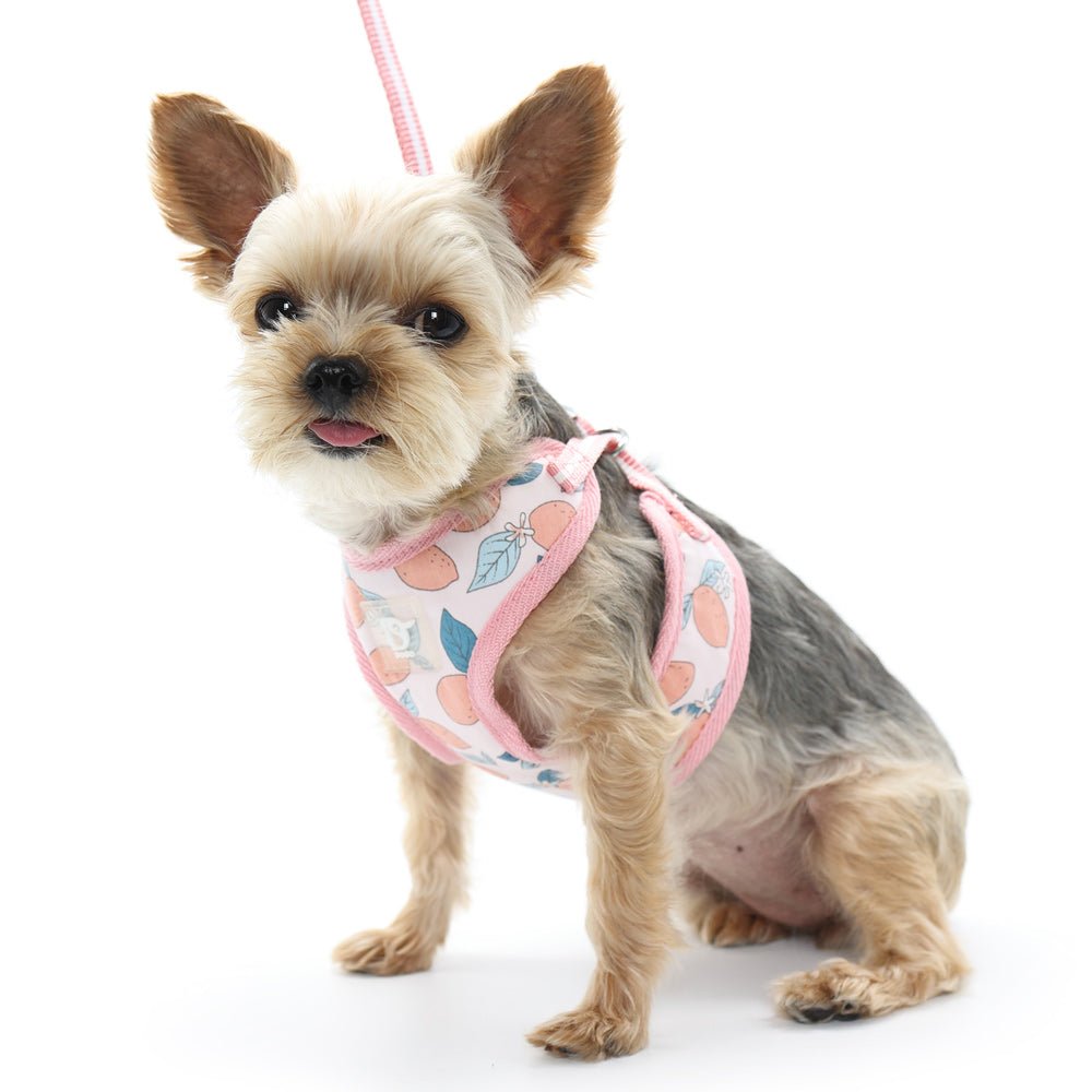 EasyGo Pink Dog Harness - Adjustable & Reflective Pet Harness for Small to Medium Dogs - Perfect for Walking, Running & Outdoor Adventures
