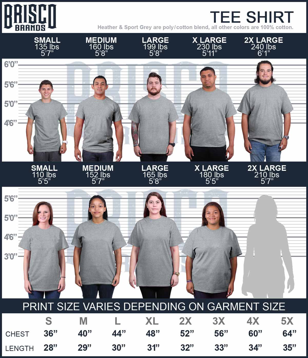 Funny Graphic T-Shirt for Men & Women - Why We Can't Have Nice Things - Perfect for Casual Wear, Gifts & Humor Lovers