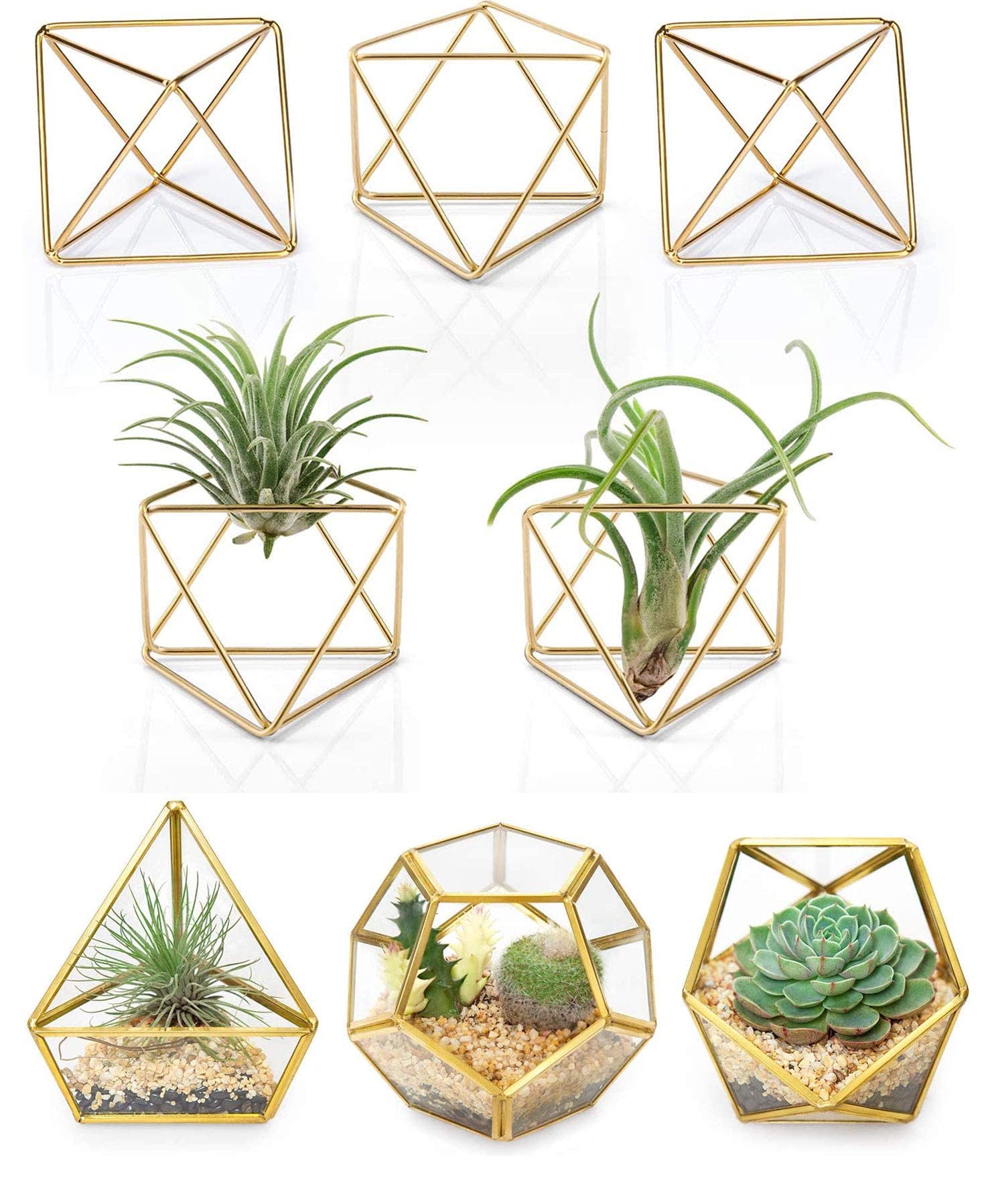 Mkono Set of 8 Mini Glass Geometric Terrarium Containers - Modern Air Plant Holders & Metal Tabletop Himmeli Decor for Home, Office, Christmas & Wedding Gifts (Gold) | Perfect for Indoor Plants, Succulents, and Home Décor