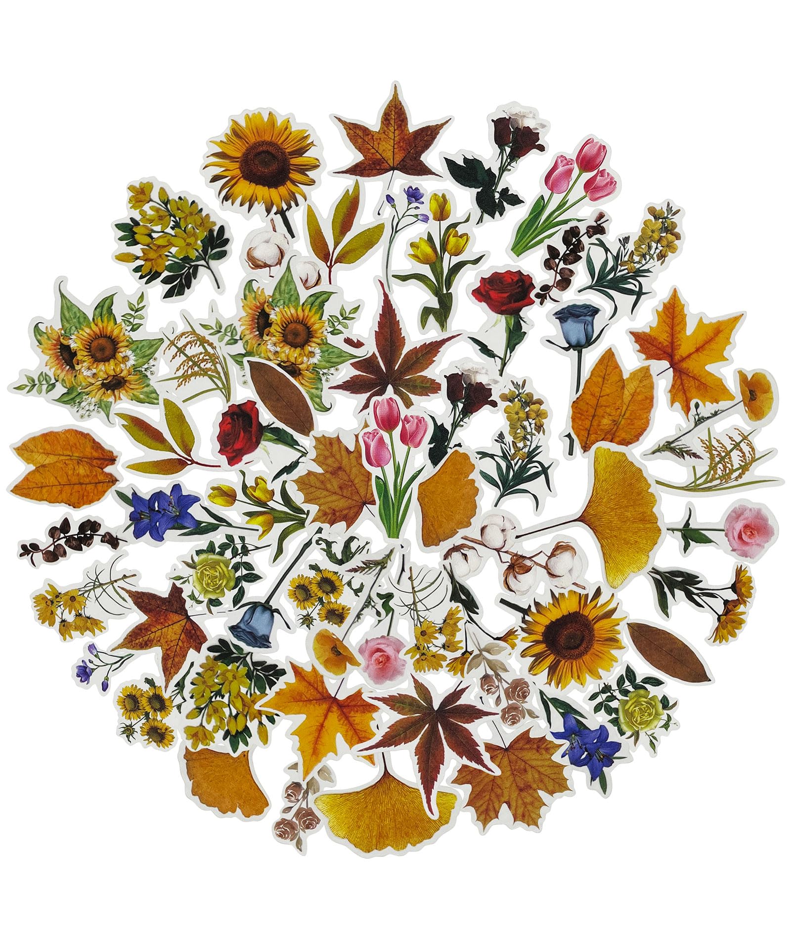 60 PCS Vintage Botanical Stickers - Cottagecore Fall Defoliation Themed Waterproof Vinyl Decals for Scrapbooking, Bullet Journal, Planner & Laptop Decor - Perfect for DIY Crafts, Journaling & Aesthetic Gifts