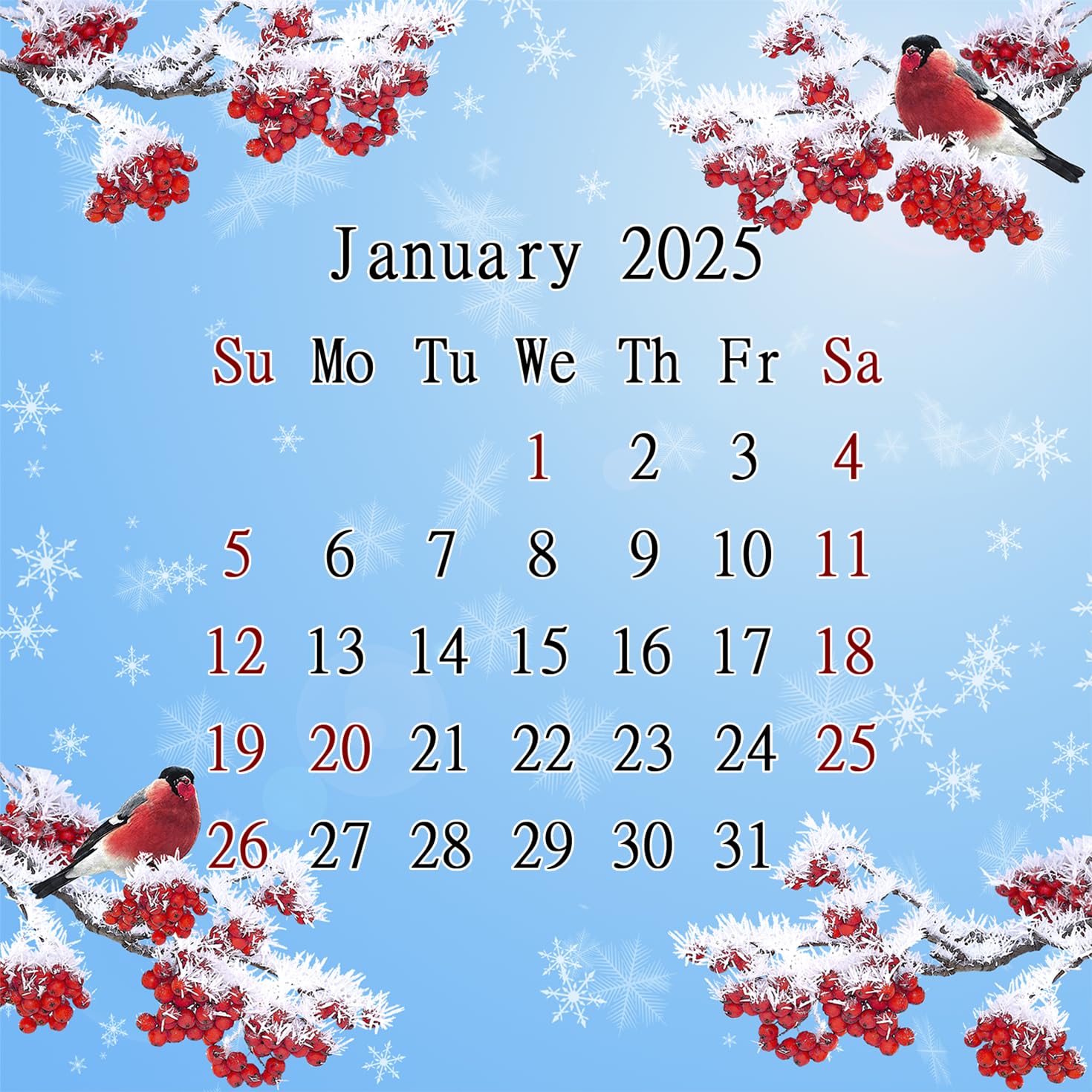 2025 CD-Style Desk Calendar - 12 Month Planner with CD Case Stand | Office Decor & Christmas Gift Idea | Perfect for Workstations, Home Offices & Holiday Gifting (Edition #016)