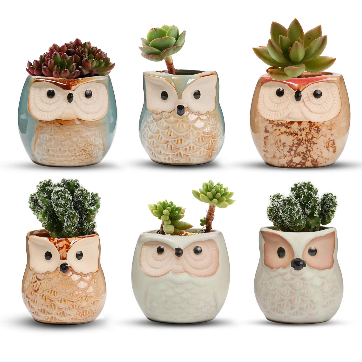 2.5 Inch Owl Ceramic Succulent Planter Pots with Drainage Hole - Set of 6 Small Cute Flower Pots for Plants - Perfect for Home, Office & Garden Decor - Great Owl-Themed Gift Idea for Plant Lovers & Home Decor Enthusiasts