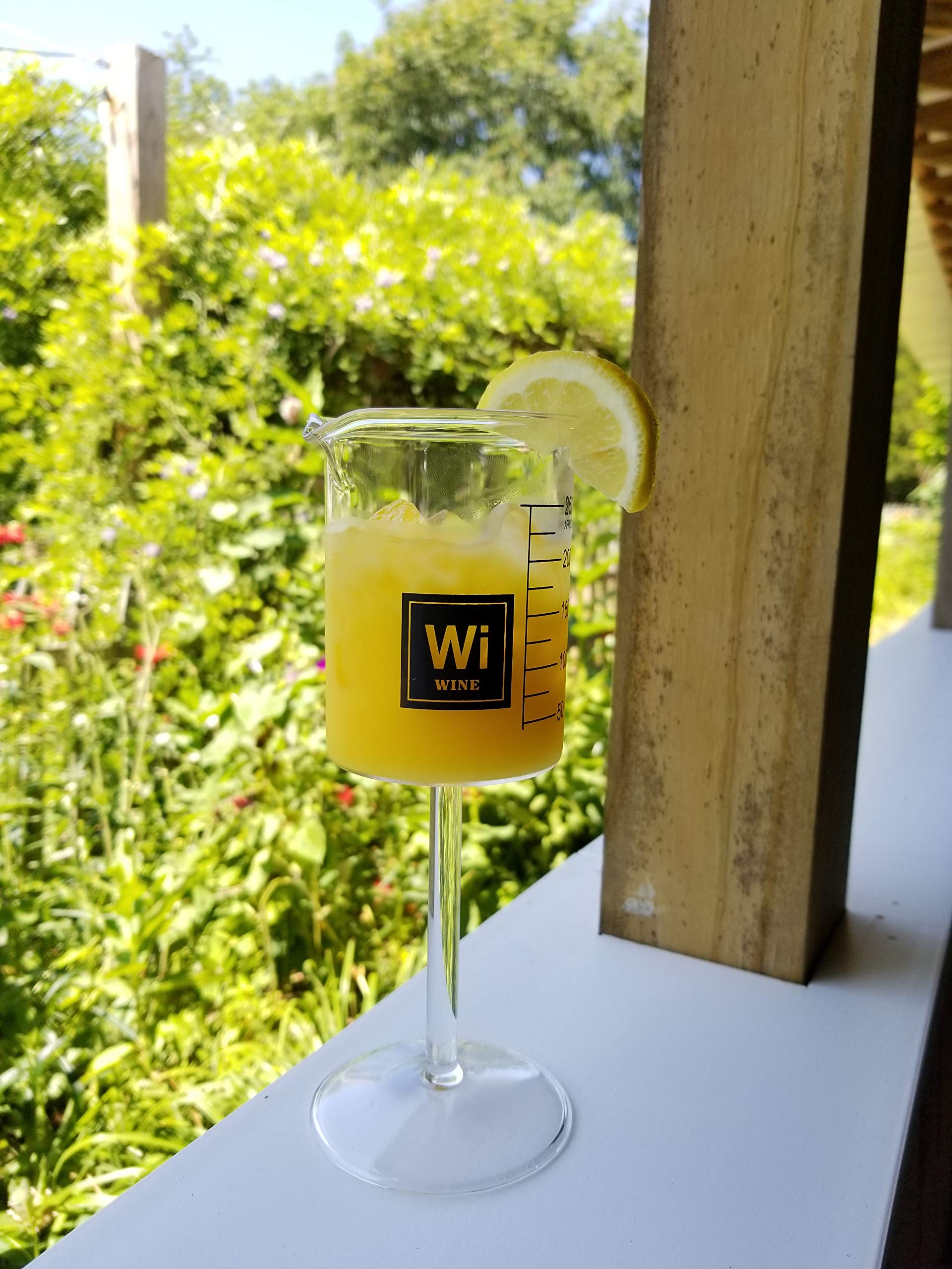 Set of 2 Clear Glass Laboratory Beaker Wine Glasses - 8oz Capacity - Perfect for Science Themed Parties, Chemistry Experiments & Unique Drinking Glasses