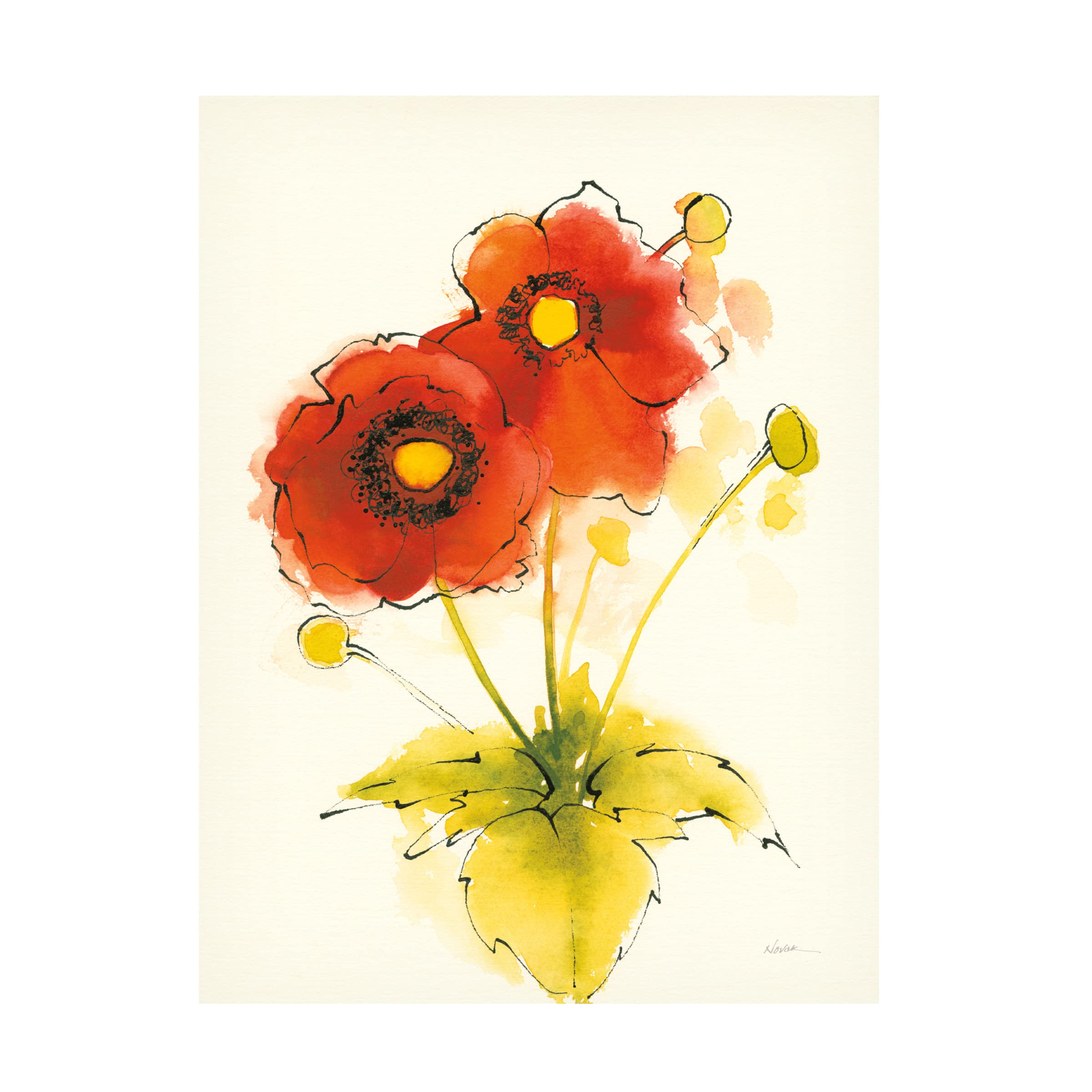 Shirley Novak 'Flores Rojas I' Canvas Art Print - Vibrant Floral Wall Decor for Living Room, Bedroom & Office - Trademark Fine Art Collection