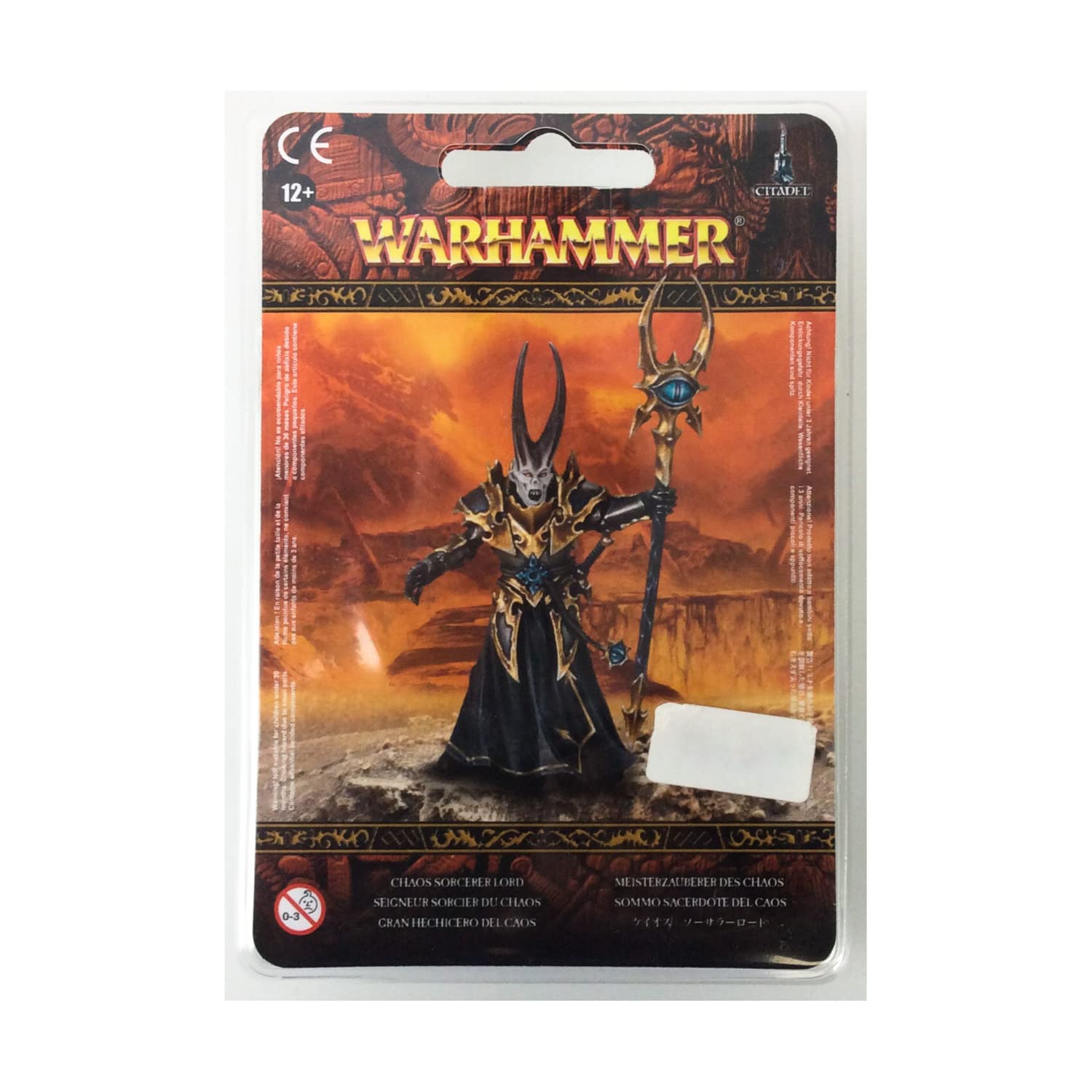 Games Workshop Warriors of Chaos: Chaos Sorcerer Lord Miniature (2011) - Perfect for Warhammer Fantasy Battles & Tabletop RPG Gaming