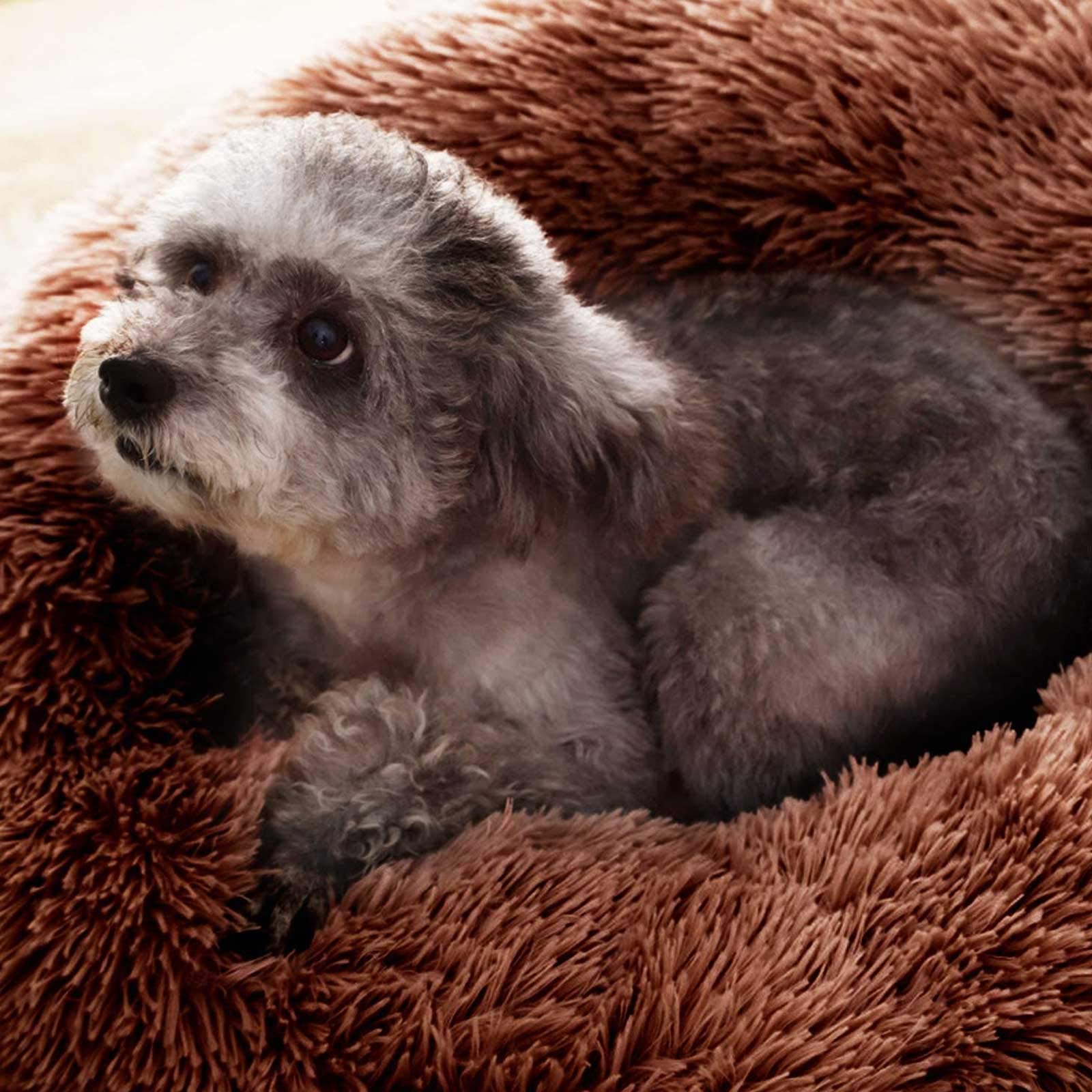 Cozy Pet Cave Bed for Dogs & Cats - Warm & Soft Sleeping Bag Nest for Puppies & Kittens - Perfect for Indoor Use, Crate Training & Cold Weather Comfort