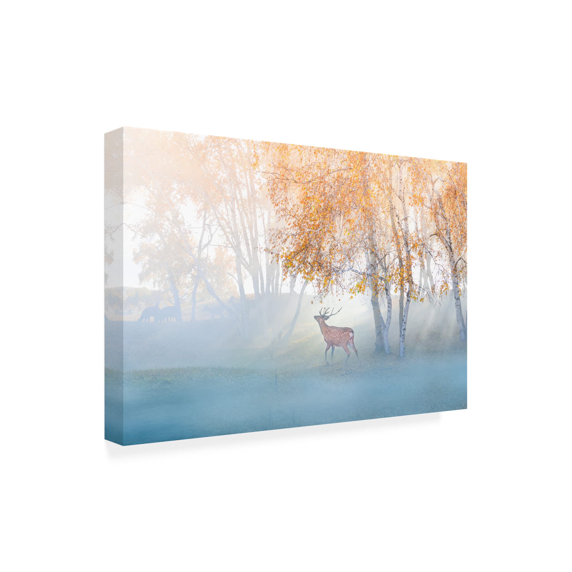 Trademark Fine Art 'Elk Lost In Mist' Canvas Wall Art by Simoon - Nature Wildlife Decor for Living Room, Bedroom & Office