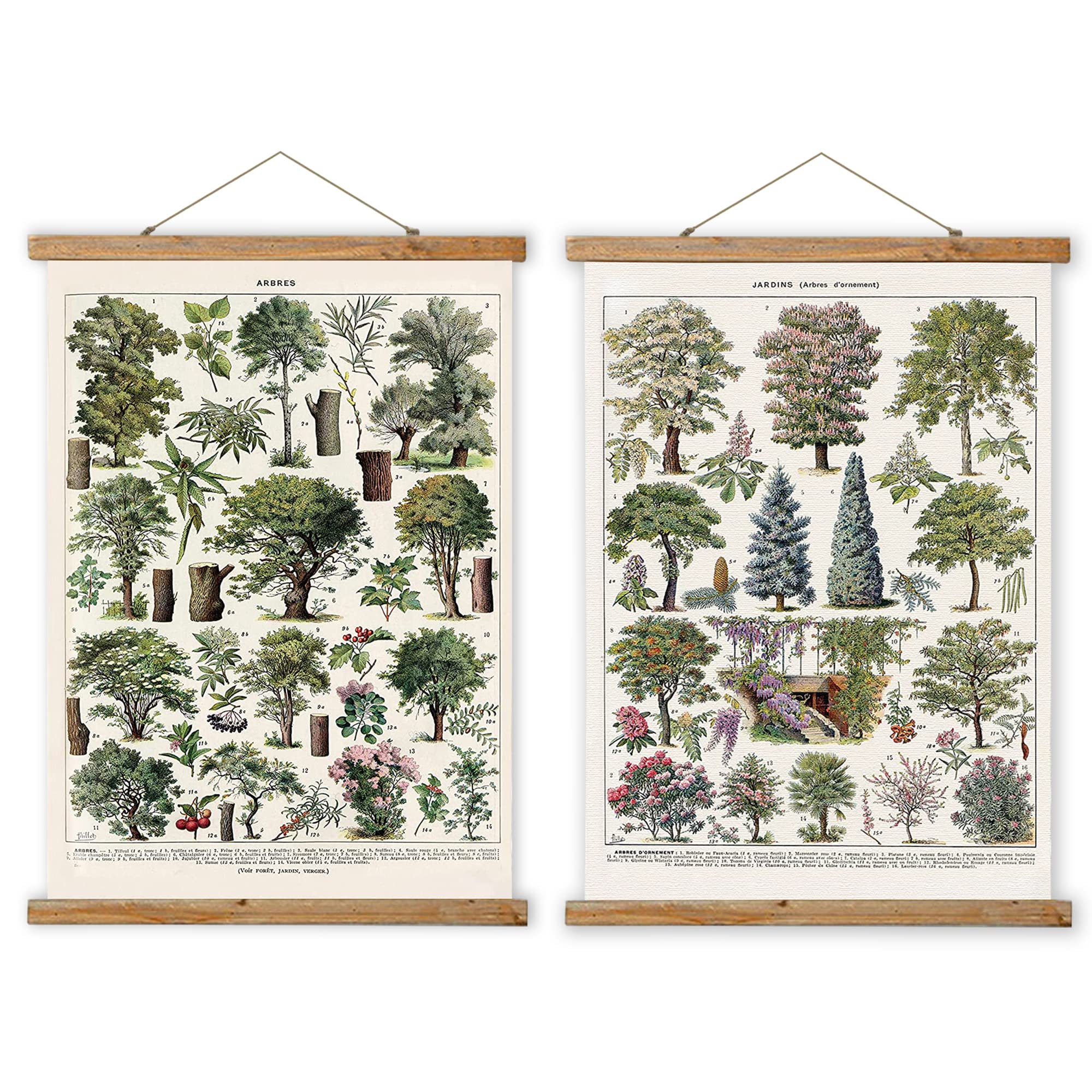 Vintage Tree Wall Art Prints - 2 Pack Small Retro Posters with Wood Frames, Ready to Hang - Perfect for Living Room, Bedroom & Office Decor
