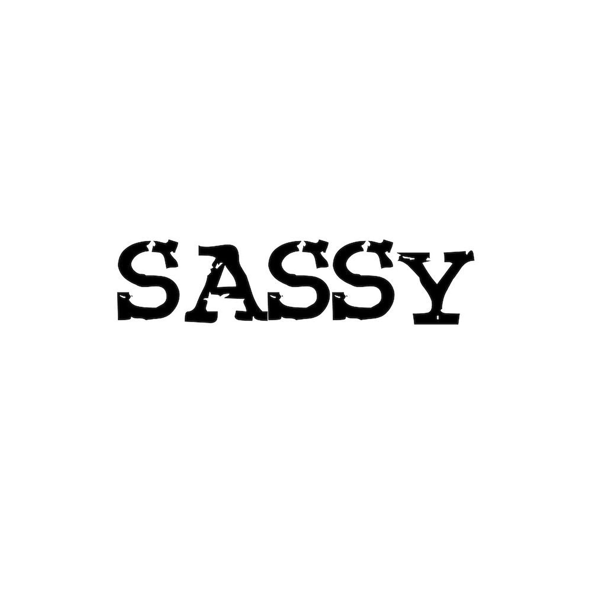 Sassy Mug 11 oz (325 ml) Ceramic Coffee Cup - Funny Gift for Coffee Lovers, Office Humor, Coworker Appreciation, or Home Use