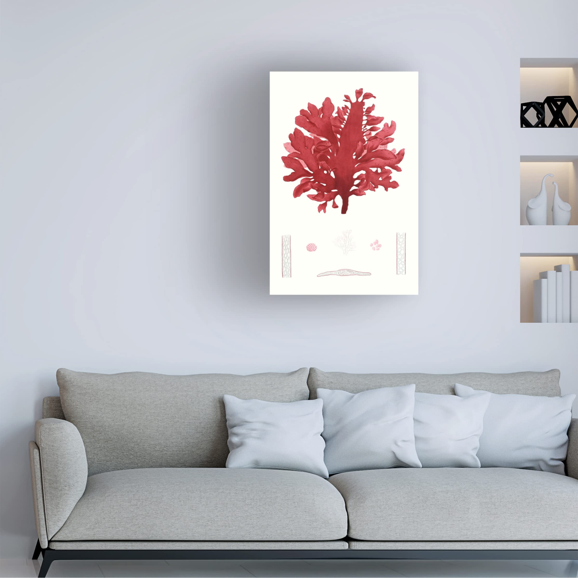 Striking Seaweed I Canvas Wall Art Print by Vision Studio - Modern Coastal Home Decor for Living Room, Bedroom & Office