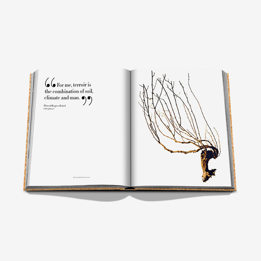 Assouline The Impossible Collection of Champagne - Luxury Coffee Table Book for Wine Enthusiasts & Collectors - Perfect for Home Decor, Gifts & Wine Tasting Events