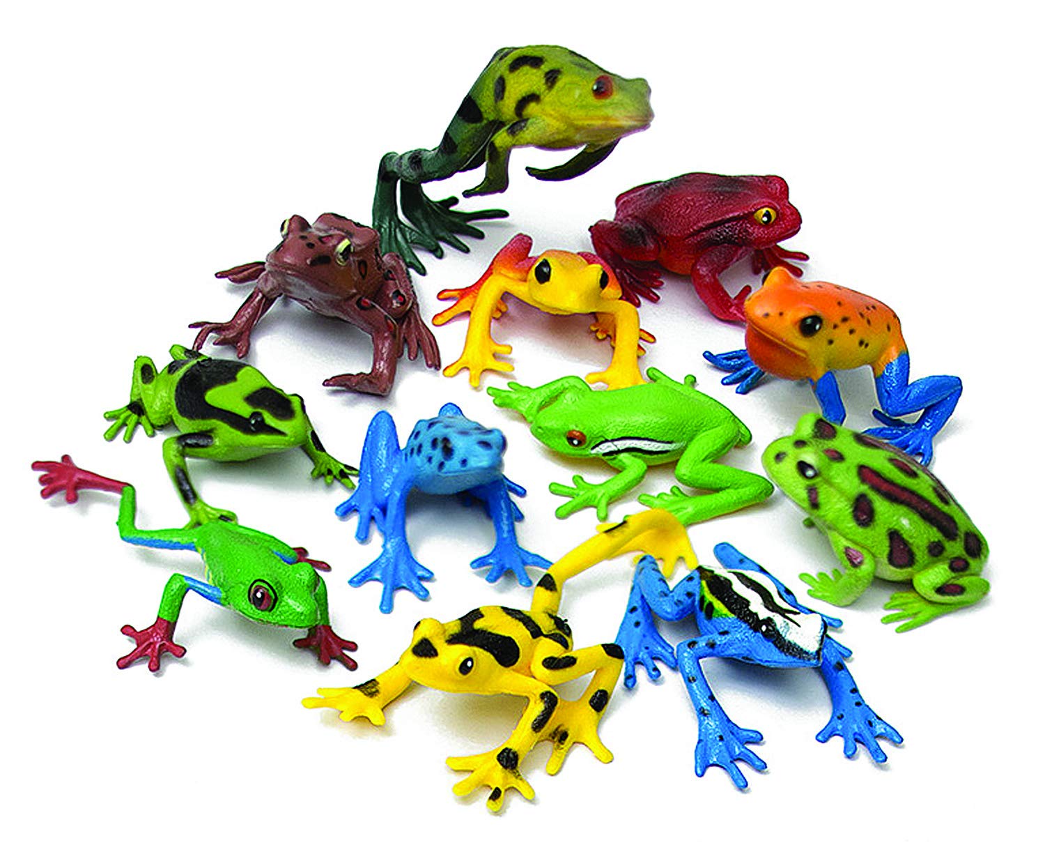Wild Republic Frog Nature Tube - 12-Piece Realistic Amphibian Figures Set, Educational Frog Toys for Kids | STEM Learning, Nature Exploration & Animal Lover Gift