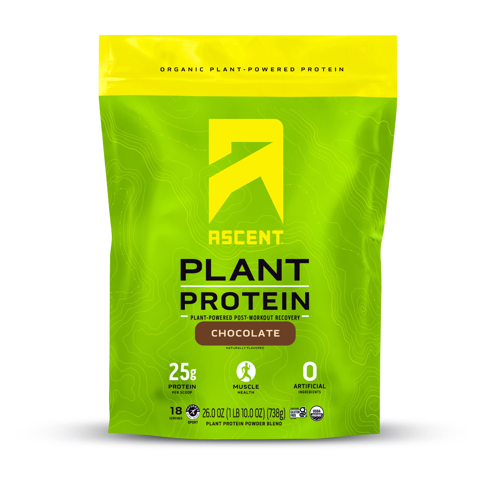 Ascent Plant Based Vegan Protein Powder - Dairy Free, Soy Free, Gluten Free, No Added Sugar, 4g BCAA, 2g Leucine - Chocolate Flavor (18 Servings) for Post Workout Recovery & Muscle Growth