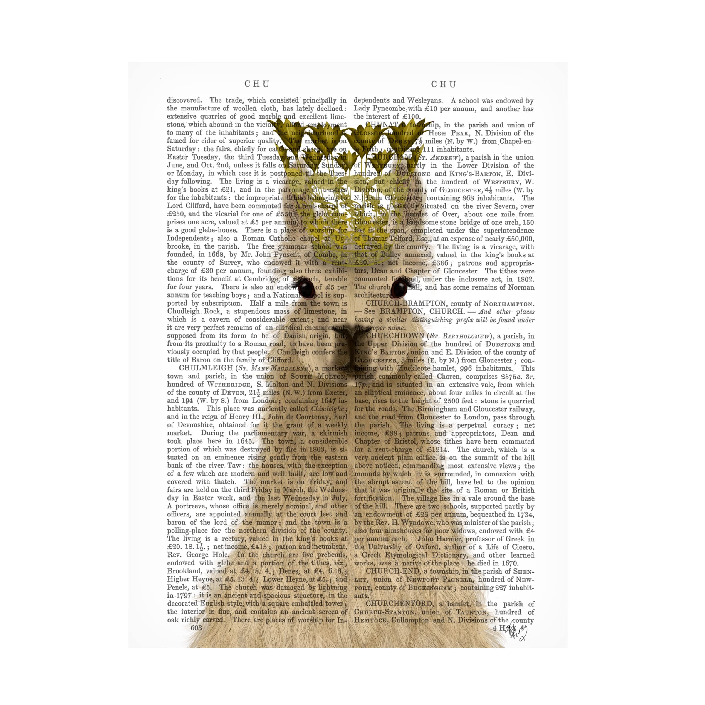 Trademark Fine Art 'Llama Queen Book Print' Canvas Wall Art by Fab Funky - Perfect for Nursery, Kids Room & Bohemian Home Decor