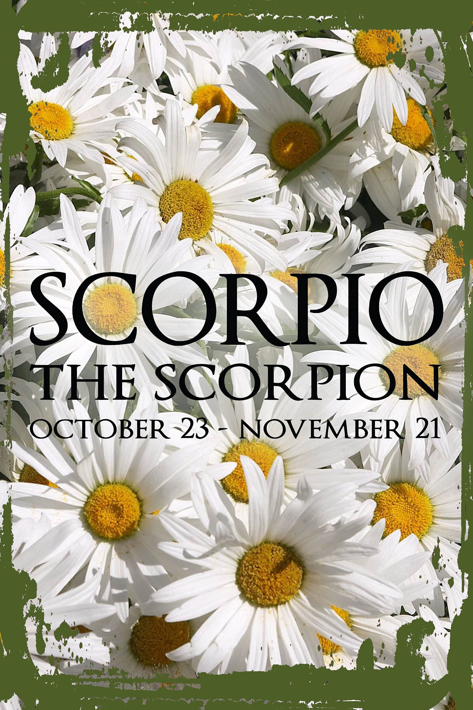 Scorpio Zodiac Sign Wall Art - Daisy Flower & Scorpion Design, Oct 23-Nov 21 Astrology Decor - 8x12 Inch Hanging Sign - Perfect for Home, Office & Funny Gift Ideas