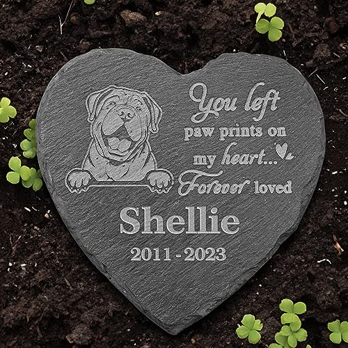 Shar Pei