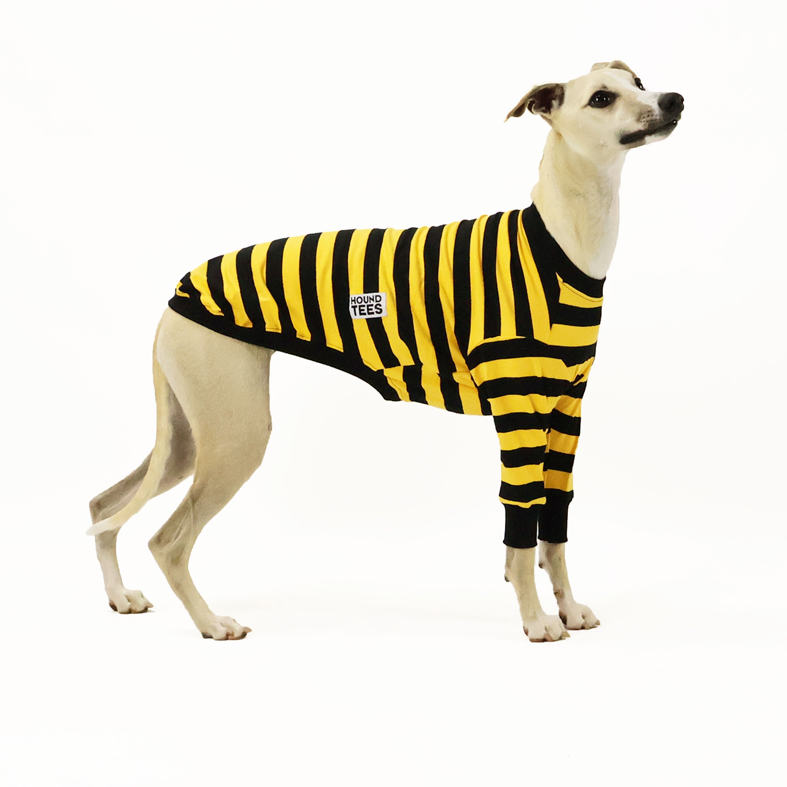 Odlaw Whippet Long Sleeve Hound T-Shirt for Men & Women - Comfortable Dog Lover Apparel for Casual Wear, Outdoor Activities & Gifts